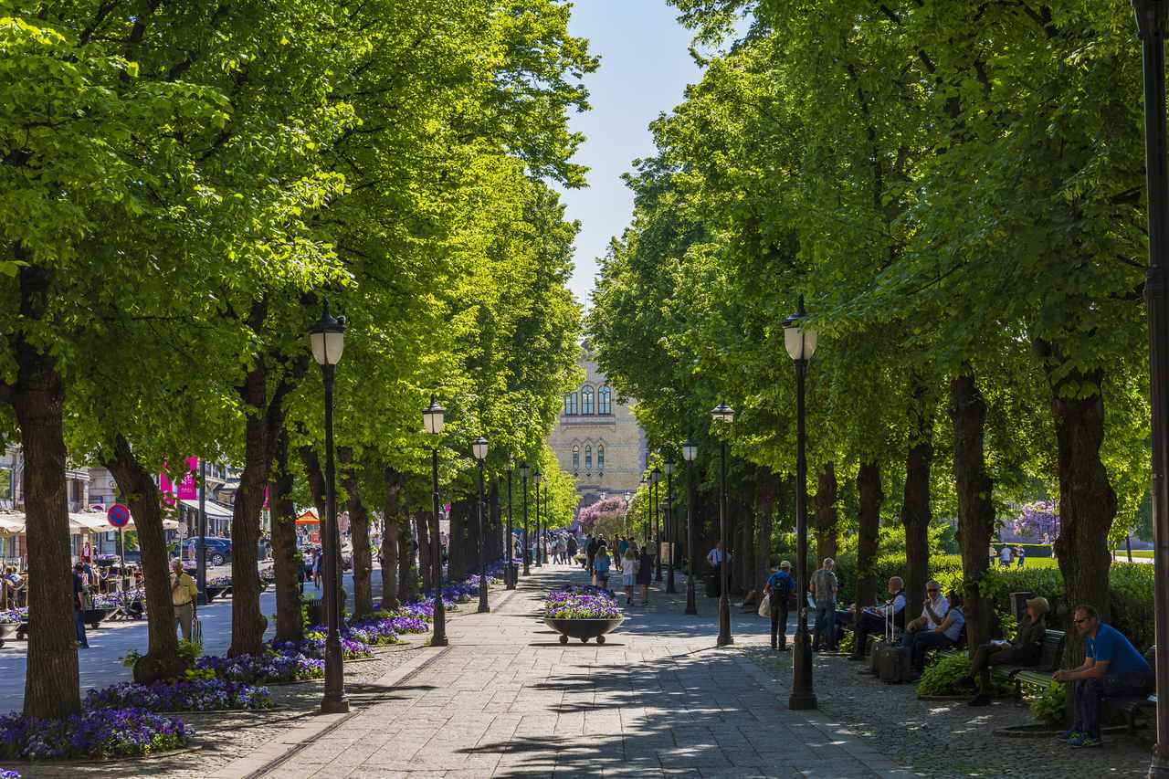 Oslo: Where Norway’s Fjordside Capital Meets the Future
